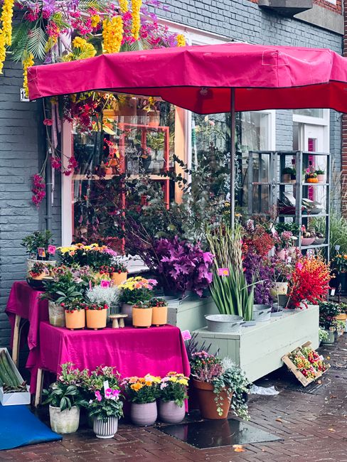 A vibrant outdoor flower display set against a grey brick wall, featuring an array of fresh floral arrangements under a large pink canopy. The arrangement includes purple azaleas, yellow pansies, and 